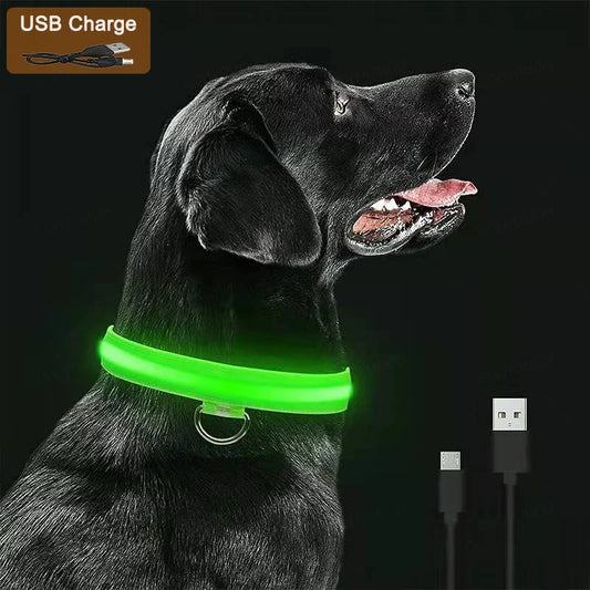 GloSafe Dog Collar