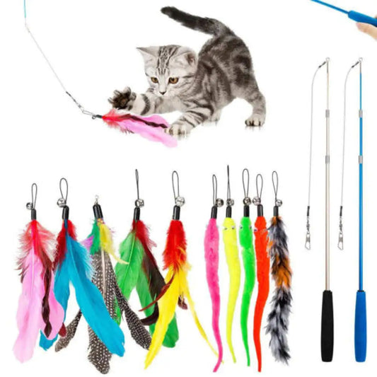 Feather Fun Kitten Teasers